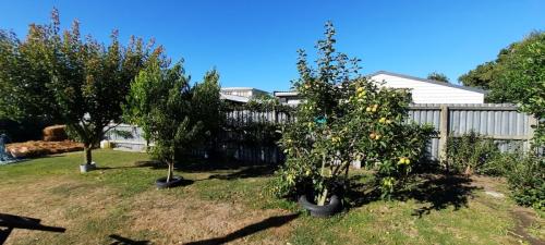 20230207_092512_resized